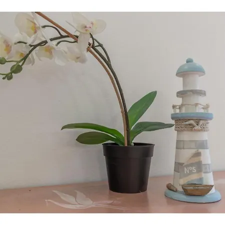 Il Faro Apartment *